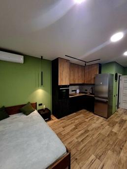 Green hourse в центрі Ірпіня, Кривой Рог - квартира посуточно