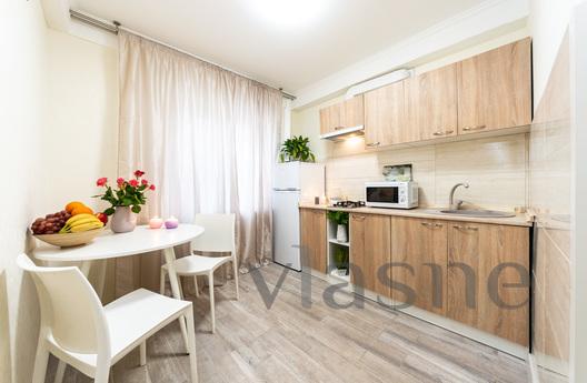 Bright 1 room sq. Obolon! m G. Dnipro, Kyiv - apartment by the day