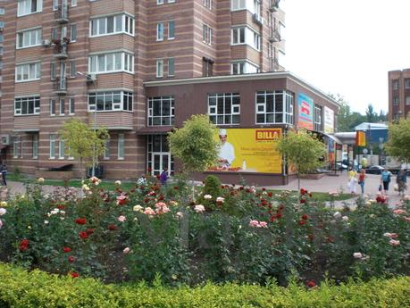 Центр, 1  . Автовокзал новый дом, Киев - квартира посуточно
