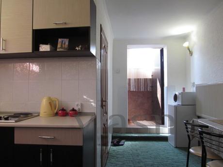 All amenities, Wi-Fi, Chernivtsi - apartment by the day