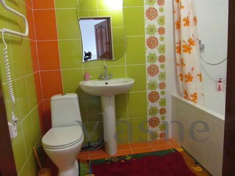 All amenities, Wi-Fi, Chernivtsi - apartment by the day