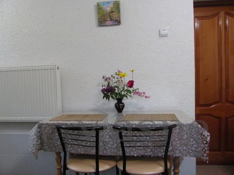 All amenities, Wi-Fi, Chernivtsi - apartment by the day