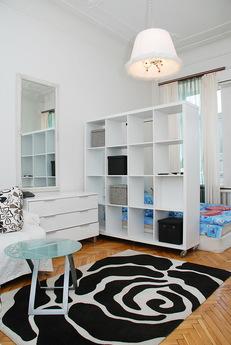 One bedroom apartment in the city center, Kyiv - apartment by the day