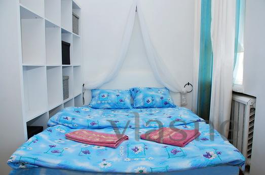 One bedroom apartment in the city center, Kyiv - apartment by the day