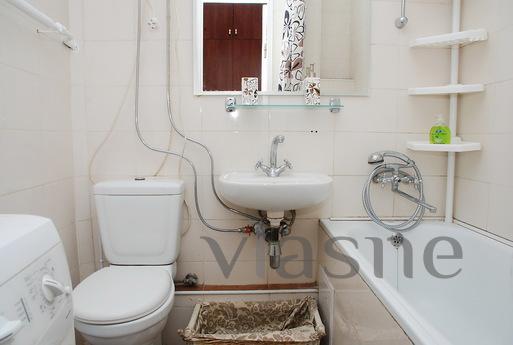 One bedroom apartment in the city center, Kyiv - apartment by the day