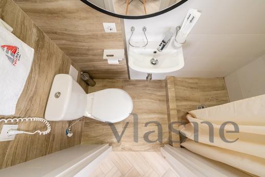 Species studio apartment in a new reside, Kyiv - apartment by the day