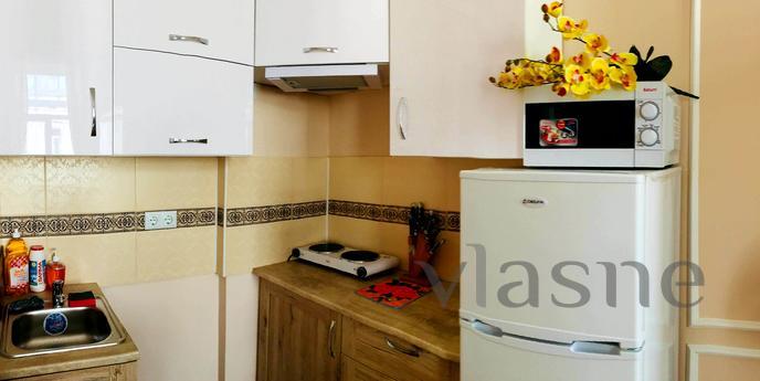 Rent 1com city center VIP class, weaving, Ivano-Frankivsk - apartment by the day