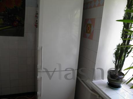1ик Lodging in the heart of Kiev, Kyiv - apartment by the day