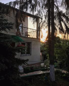 Дом-парк у rly Hills., Одесса - квартира посуточно