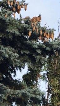 Дом-парк у rly Hills., Одесса - квартира посуточно