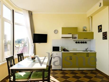 This spacious apartment of 45 square meters. m with a magnif