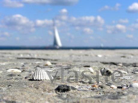 Уютная квартира у моря Дельфин, Отрада., Одесса - квартира посуточно