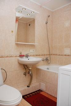 The apartment-studio in the city center, Kyiv - apartment by the day