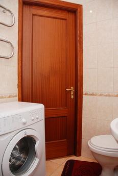 The apartment-studio in the city center, Kyiv - apartment by the day