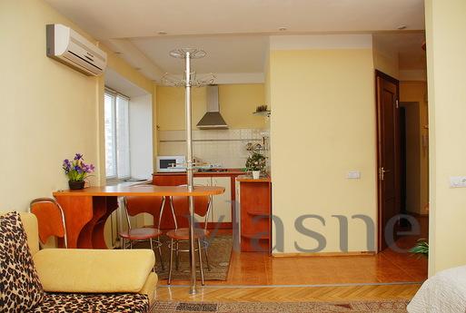 The apartment-studio in the city center, Kyiv - apartment by the day