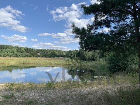 Замечательный отдых у озера в сосн.лесу, Воропаево - квартира посуточно