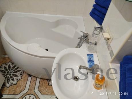 One-bedroom apartment in the center with, Lviv - apartment by the day