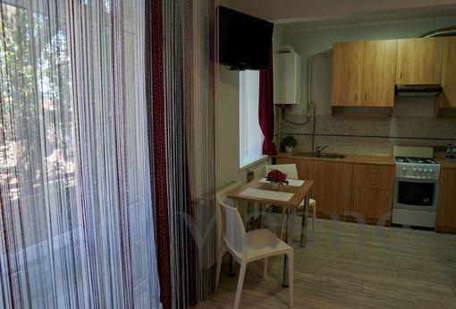 COMFORT IN THE CITY CENTER, Ivano-Frankivsk - apartment by the day