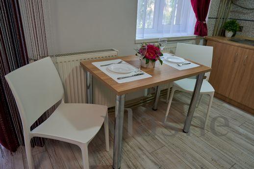 COMFORT IN THE CITY CENTER, Ivano-Frankivsk - apartment by the day