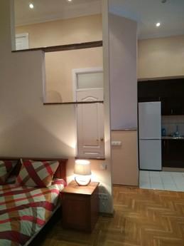 1 bedroom apartment for rent, Kyiv - apartment by the day