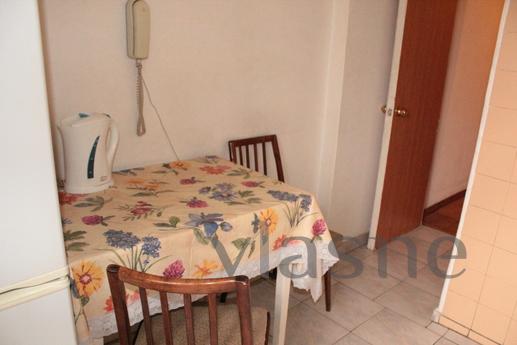 Apartment  in the center, Wi-Fi, Kyiv - apartment by the day