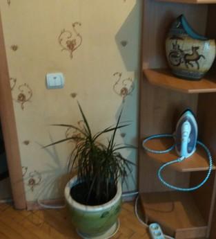 Rent apartments, Kyiv - apartment by the day