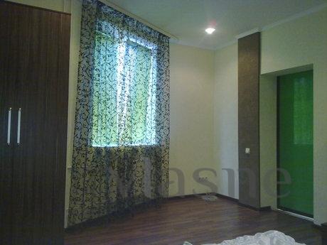 2-room apartment LUX for daily rent., Kremenchuk - apartment by the day