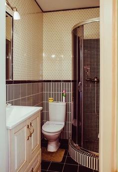 VIP apartment in the heart of the city, Lviv - apartment by the day