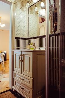 VIP apartment in the heart of the city, Lviv - apartment by the day