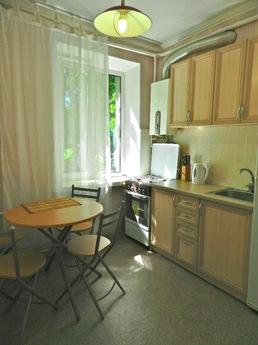 Beautiful and cozy apartment, Kyiv - apartment by the day