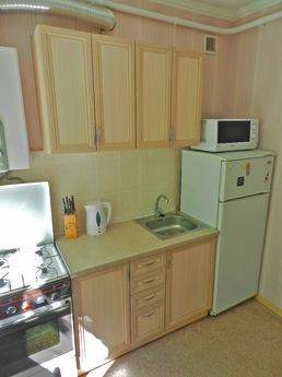 Beautiful and cozy apartment, Kyiv - apartment by the day
