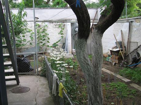 Rent one-room house on the land, Yevpatoriya - apartment by the day