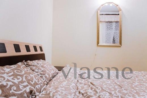 Comfortable apartment near the Opera, Lviv - apartment by the day
