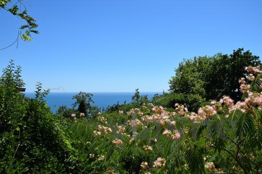 С балконом и видом на море, Алупка - квартира посуточно