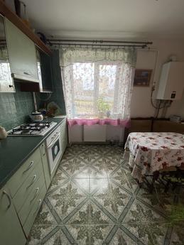 Apartment for rent near the lake, Morshy, Morshyn - apartment by the day