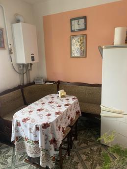 Apartment for rent near the lake, Morshy, Morshyn - apartment by the day