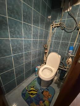 Apartment for rent near the lake, Morshy, Morshyn - apartment by the day