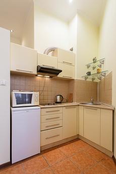 1-room studio in Podol Area, Kyiv - apartment by the day