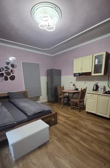 A one-room cabin is available for rent on the central street
