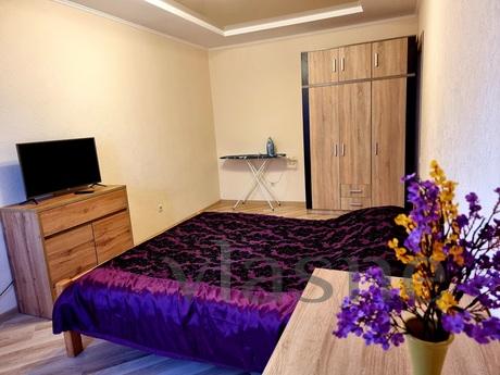 Center. Ogienka, Lutsk - apartment by the day