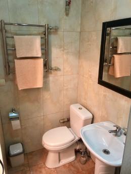 Center, near Deribasovskoy, Odessa - apartment by the day