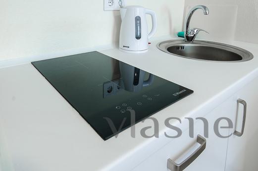 1-room studio in Shuliavka, near metro, Kyiv - apartment by the day