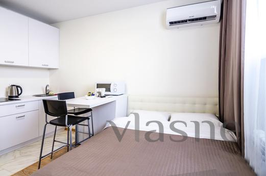 1-room studio near metro Beresteyskaya, Kyiv - apartment by the day