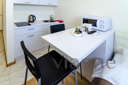 1-room studio near metro Beresteyskaya, Kyiv - apartment by the day