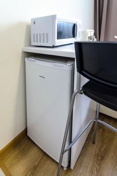 1-room studio near metro Beresteyskaya, Kyiv - apartment by the day