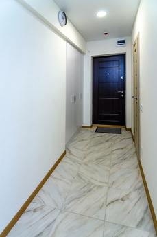 1-room studio near metro Beresteyskaya, Kyiv - apartment by the day