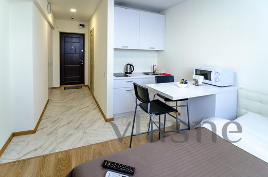 1-room studio near metro Beresteyskaya, Kyiv - apartment by the day