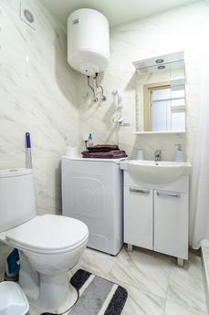 1-room studio near metro Beresteyskaya, Kyiv - apartment by the day
