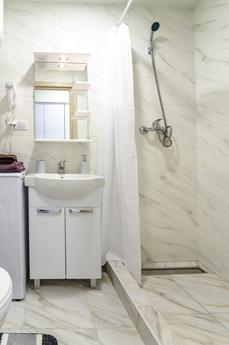 1-room studio near metro Beresteyskaya, Kyiv - apartment by the day