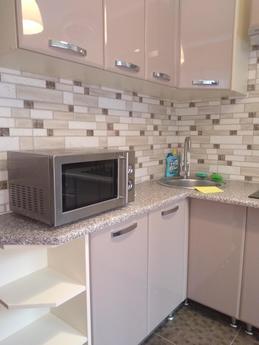 Nova quiet calm apartment in the center, Ivano-Frankivsk - apartment by the day